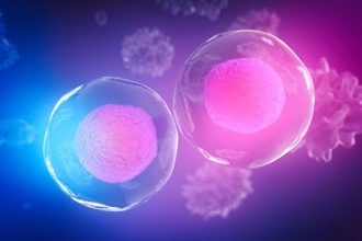 What Is an NAb Assay, and Why Is Neutralizing Antibody Testing Important in Biologics Development? 2 unnamed